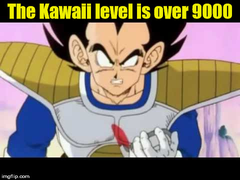The kawaii level is over 9000 | The Kawaii level is over 9000 | image tagged in funny,vegeta lol,vegeta,kawaii | made w/ Imgflip meme maker