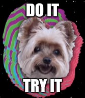 So Pumped for April 8th! #NewAlbum #Junk | DO IT; TRY IT | image tagged in m83,do it,try it,do it try it dog,dog,doge | made w/ Imgflip meme maker