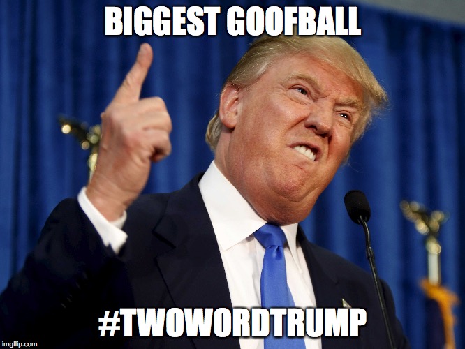 #TwoWordTrump | BIGGEST GOOFBALL; #TWOWORDTRUMP | image tagged in donald trump,twowordtrump,twitter,memes | made w/ Imgflip meme maker