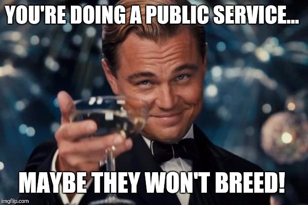 Leonardo Dicaprio Cheers Meme | YOU'RE DOING A PUBLIC SERVICE... MAYBE THEY WON'T BREED! | image tagged in memes,leonardo dicaprio cheers | made w/ Imgflip meme maker
