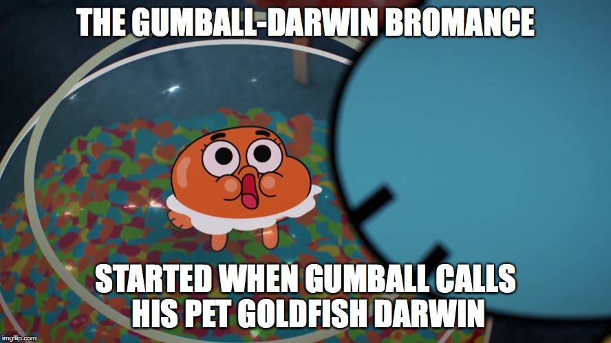 Gumball-Darwin Bromance | THE GUMBALL-DARWIN BROMANCE; STARTED WHEN GUMBALL CALLS HIS PET GOLDFISH DARWIN | image tagged in memes,gumball,darwin,the amazing world of gumball,bromance | made w/ Imgflip meme maker
