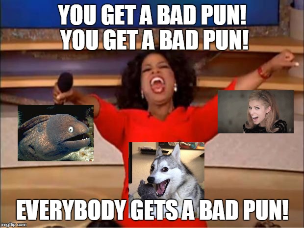 Oprah You Get A Meme | YOU GET A BAD PUN! YOU GET A BAD PUN! EVERYBODY GETS A BAD PUN! | image tagged in memes,oprah you get a | made w/ Imgflip meme maker