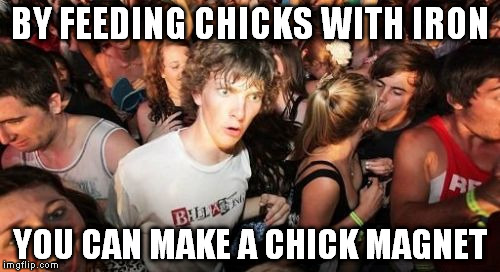 Sudden Clarity Clarence Meme | BY FEEDING CHICKS WITH IRON; YOU CAN MAKE A CHICK MAGNET | image tagged in memes,sudden clarity clarence | made w/ Imgflip meme maker