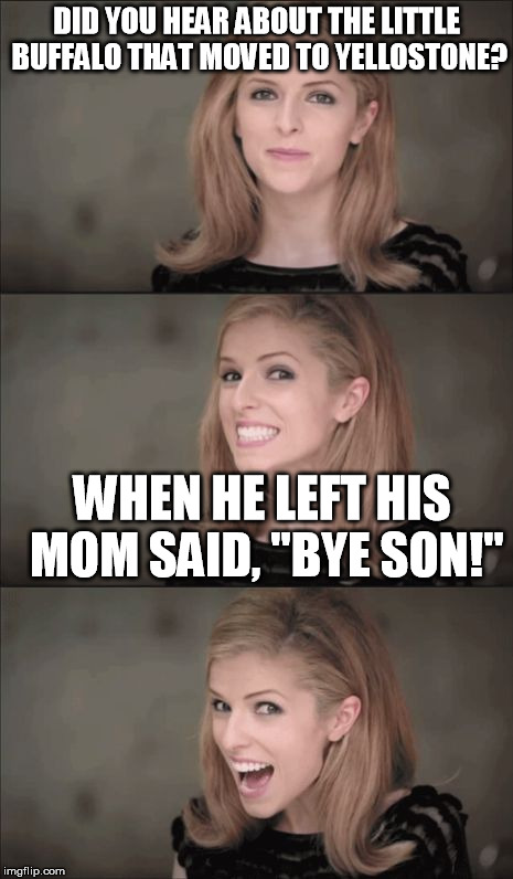 I misspelled Yellowstone on purpose so the grammar nazis would help me get to the front page |  DID YOU HEAR ABOUT THE LITTLE BUFFALO THAT MOVED TO YELLOSTONE? WHEN HE LEFT HIS MOM SAID, "BYE SON!" | image tagged in memes,bad pun anna kendrick,yellowstone,bison | made w/ Imgflip meme maker