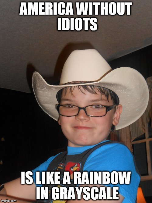 Like a Rainbow in Grayscale | AMERICA WITHOUT IDIOTS; IS LIKE A RAINBOW IN GRAYSCALE | image tagged in like a rainbow in grayscale | made w/ Imgflip meme maker