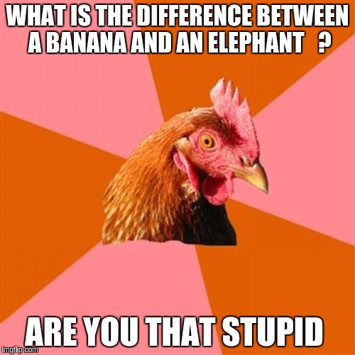 Anti Joke Chicken | WHAT IS THE DIFFERENCE BETWEEN A BANANA AND AN ELEPHANT   ? ARE YOU THAT STUPID | image tagged in memes,anti joke chicken | made w/ Imgflip meme maker