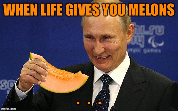 Putin Melon WHEN LIFE GIVES YOU MELONS . . image tagged in putin melon made...
