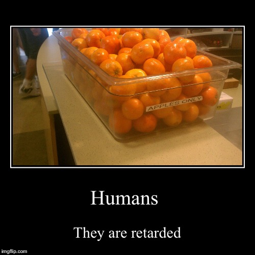 Humans | image tagged in funny,demotivationals,stupid people | made w/ Imgflip demotivational maker