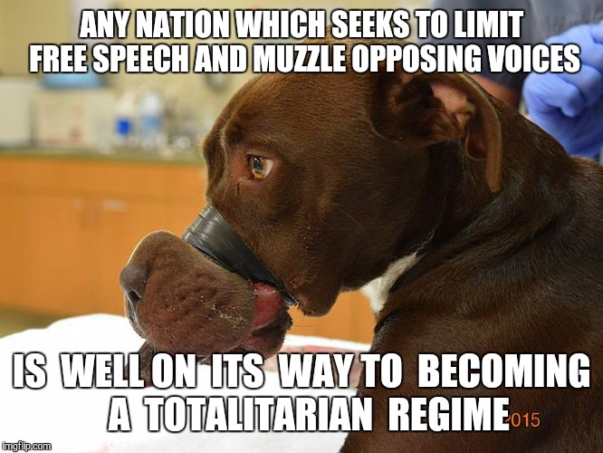 Opposition groups are becoming enemies of the State. | ANY NATION WHICH SEEKS TO LIMIT FREE SPEECH AND MUZZLE OPPOSING VOICES; IS  WELL ON  ITS  WAY TO  BECOMING  A  TOTALITARIAN  REGIME | image tagged in free speech,protest,liberals,trump,election 2016,security | made w/ Imgflip meme maker
