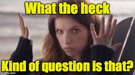 WTF Anna | What the heck Kind of question is that? | image tagged in wtf anna | made w/ Imgflip meme maker