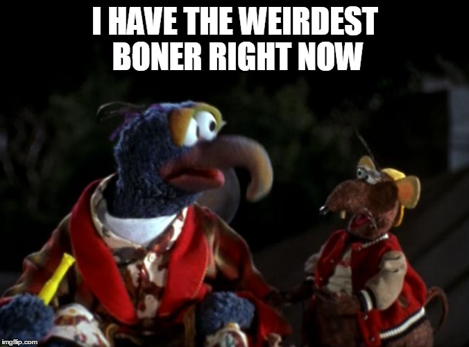 I HAVE THE WEIRDEST BONER RIGHT NOW | image tagged in gonzo | made w/ Imgflip meme maker