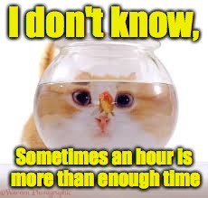 I don't know, Sometimes an hour is more than enough time | made w/ Imgflip meme maker
