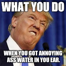 Donald Trump's with water filled ears. | WHAT YOU DO; WHEN YOU GOT ANNOYING ASS WATER IN YOU EAR. | image tagged in donald trump | made w/ Imgflip meme maker