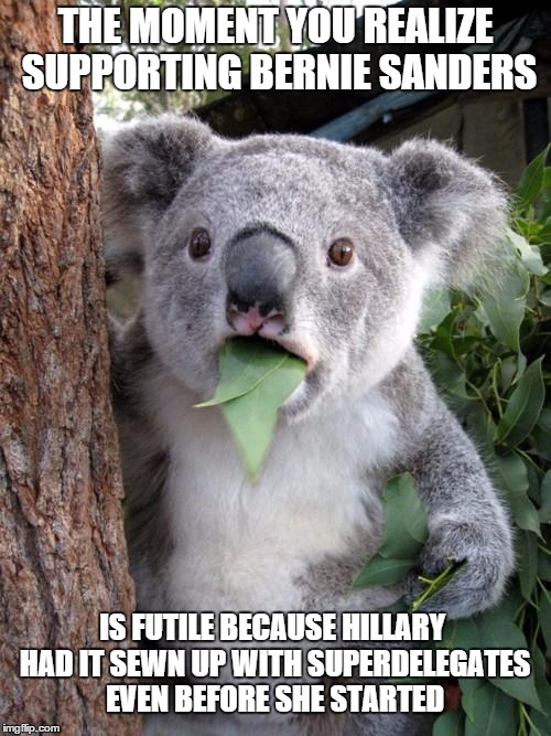 The fix is in, don't be a sucker | THE MOMENT YOU REALIZE SUPPORTING BERNIE SANDERS; IS FUTILE BECAUSE HILLARY HAD IT SEWN UP WITH SUPERDELEGATES EVEN BEFORE SHE STARTED | image tagged in memes,surprised koala,bernie sanders | made w/ Imgflip meme maker
