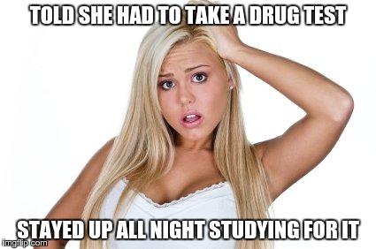 Dumb Blonde | TOLD SHE HAD TO TAKE A DRUG TEST; STAYED UP ALL NIGHT STUDYING FOR IT | image tagged in dumb blonde | made w/ Imgflip meme maker