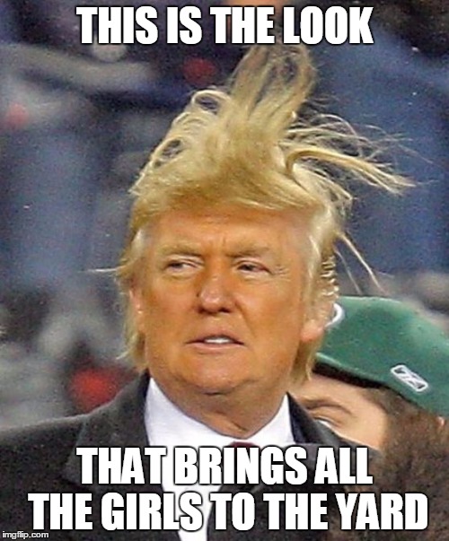 Give me a head with hair; long, beautiful hair! | THIS IS THE LOOK; THAT BRINGS ALL THE GIRLS TO THE YARD | image tagged in donald trumph hair | made w/ Imgflip meme maker