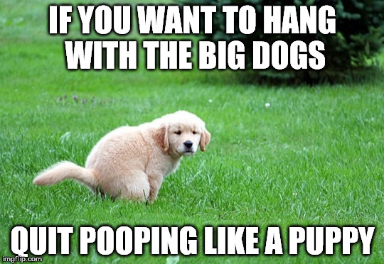 Pooping Puppy | IF YOU WANT TO HANG WITH THE BIG DOGS; QUIT POOPING LIKE A PUPPY | image tagged in pooping puppy,big dog,funny,funny memes,dogs,bad pun dog | made w/ Imgflip meme maker