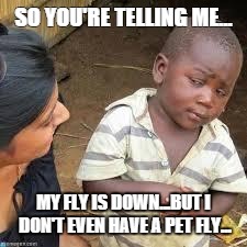 so your telling me | SO YOU'RE TELLING ME... MY FLY IS DOWN...BUT I DON'T EVEN HAVE A PET FLY... | image tagged in so your telling me | made w/ Imgflip meme maker