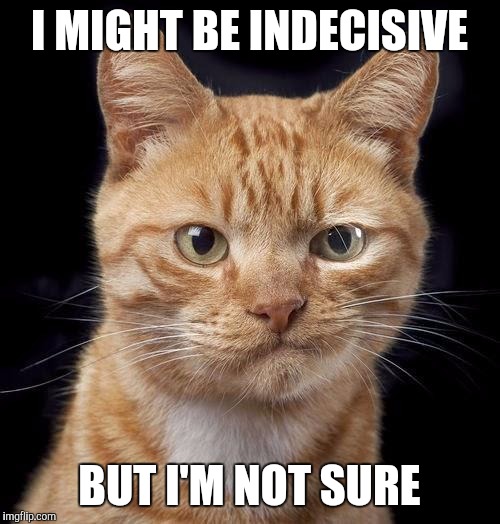 Maybe Maybe | I MIGHT BE INDECISIVE; BUT I'M NOT SURE | image tagged in indecisive cat | made w/ Imgflip meme maker
