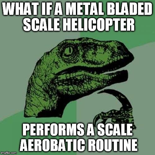 Philosoraptor Meme | WHAT IF A METAL BLADED SCALE HELICOPTER; PERFORMS A SCALE AEROBATIC ROUTINE | image tagged in memes,philosoraptor | made w/ Imgflip meme maker