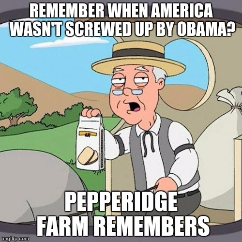 Pepperidge Farm Remembers | REMEMBER WHEN AMERICA WASN'T SCREWED UP BY OBAMA? PEPPERIDGE FARM REMEMBERS | image tagged in memes,pepperidge farm remembers | made w/ Imgflip meme maker