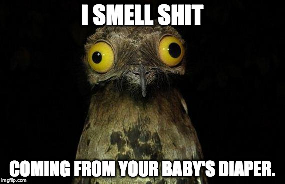 Weird Stuff I Do Potoo | I SMELL SHIT; COMING FROM YOUR BABY'S DIAPER. | image tagged in memes,weird stuff i do potoo | made w/ Imgflip meme maker