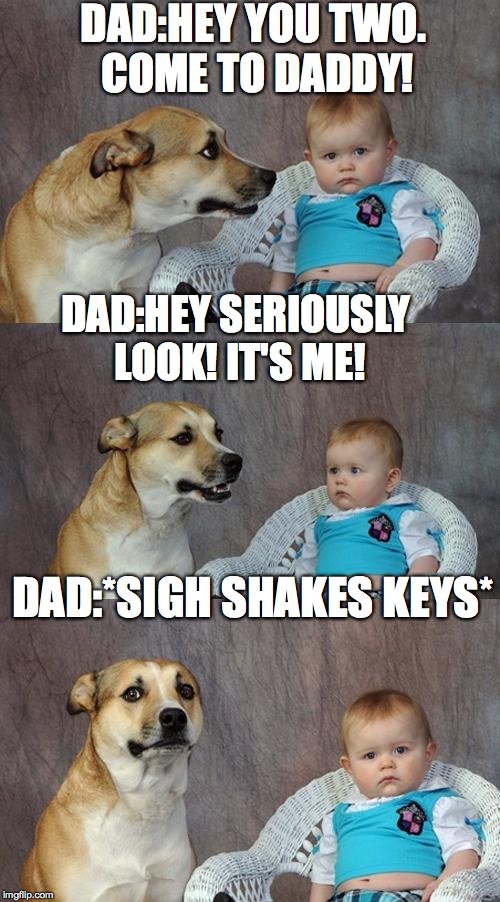 Dad Joke Dog | DAD:HEY YOU TWO. COME TO DADDY! DAD:HEY SERIOUSLY LOOK! IT'S ME! DAD:*SIGH SHAKES KEYS* | image tagged in memes,dad joke dog | made w/ Imgflip meme maker