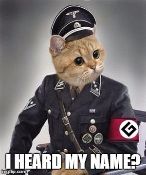 Grammer Nazi | I HEARD MY NAME? | image tagged in grammar,nazi kittens | made w/ Imgflip meme maker
