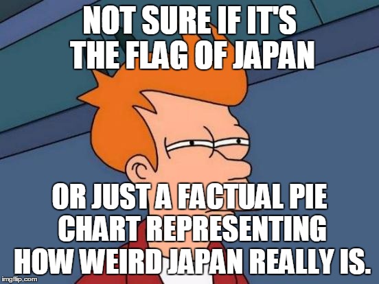 Futurama Fry Meme | NOT SURE IF IT'S THE FLAG OF JAPAN OR JUST A FACTUAL PIE CHART REPRESENTING HOW WEIRD JAPAN REALLY IS. | image tagged in memes,futurama fry | made w/ Imgflip meme maker