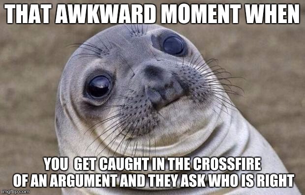 Awkward Moment Sealion Meme | THAT AWKWARD MOMENT WHEN; YOU  GET CAUGHT IN THE CROSSFIRE OF AN ARGUMENT AND THEY ASK WHO IS RIGHT | image tagged in memes,awkward moment sealion | made w/ Imgflip meme maker