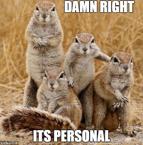 squirrels  | DAMN RIGHT; ITS PERSONAL | image tagged in squirrels | made w/ Imgflip meme maker