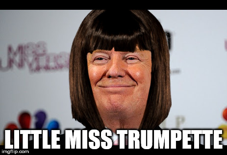 Donald trump approves | LITTLE MISS TRUMPETTE | image tagged in donald trump approves | made w/ Imgflip meme maker