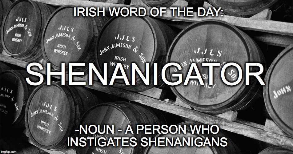 You know who you are... | IRISH WORD OF THE DAY:; SHENANIGATOR; -NOUN - A PERSON WHO INSTIGATES SHENANIGANS | image tagged in shenanigator,st patrick's day,jameson,shenanigan | made w/ Imgflip meme maker