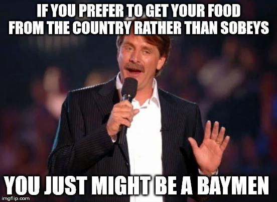 Jeff Foxworthy | IF YOU PREFER TO GET YOUR FOOD FROM THE COUNTRY RATHER THAN SOBEYS; YOU JUST MIGHT BE A BAYMEN | image tagged in jeff foxworthy | made w/ Imgflip meme maker