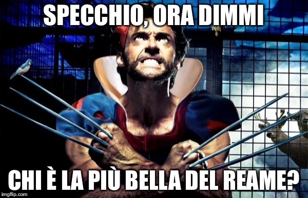Wolverine | SPECCHIO, ORA DIMMI; CHI È LA PIÙ BELLA DEL REAME? | image tagged in x-men,superhero,wolverine,funny meme,comics/cartoons | made w/ Imgflip meme maker