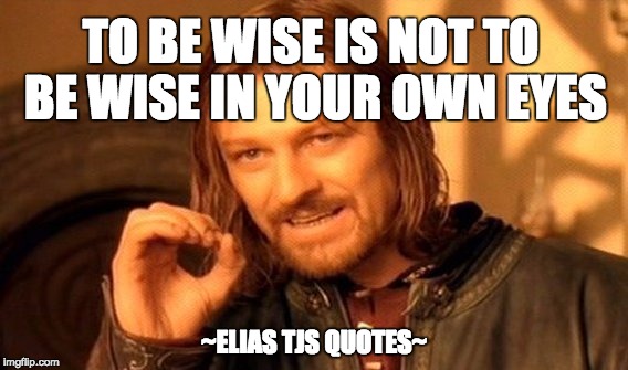 One Does Not Simply | TO BE WISE IS NOT TO BE WISE IN YOUR OWN EYES; ~ELIAS TJS QUOTES~ | image tagged in memes,one does not simply | made w/ Imgflip meme maker