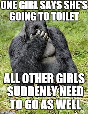 Gorilla discovers humanity  | ONE GIRL SAYS SHE'S GOING TO TOILET; ALL OTHER GIRLS SUDDENLY NEED TO GO AS WELL | image tagged in memes,gorilla,girls,toilet,facepalm | made w/ Imgflip meme maker