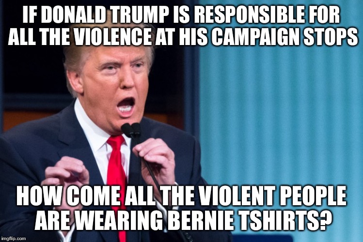 donald trump I love | IF DONALD TRUMP IS RESPONSIBLE FOR ALL THE VIOLENCE AT HIS CAMPAIGN STOPS; HOW COME ALL THE VIOLENT PEOPLE ARE WEARING BERNIE TSHIRTS? | image tagged in donald trump i love | made w/ Imgflip meme maker