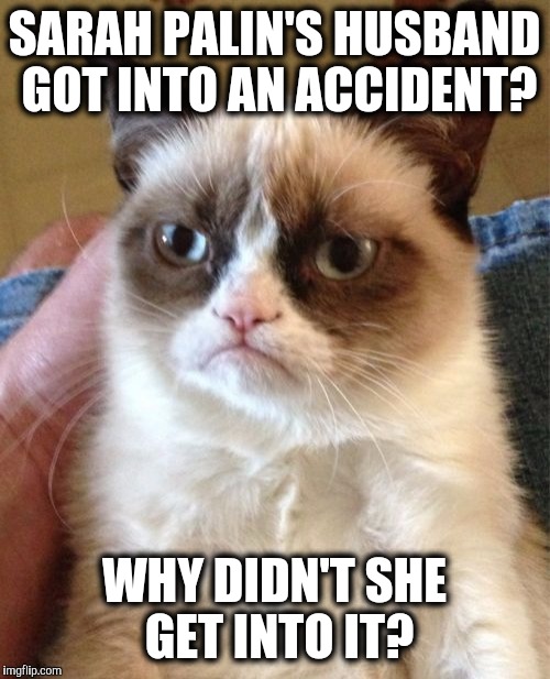 Grumpy Cat | SARAH PALIN'S HUSBAND GOT INTO AN ACCIDENT? WHY DIDN'T SHE GET INTO IT? | image tagged in memes,grumpy cat,sarah palin,palin,accident,husband | made w/ Imgflip meme maker