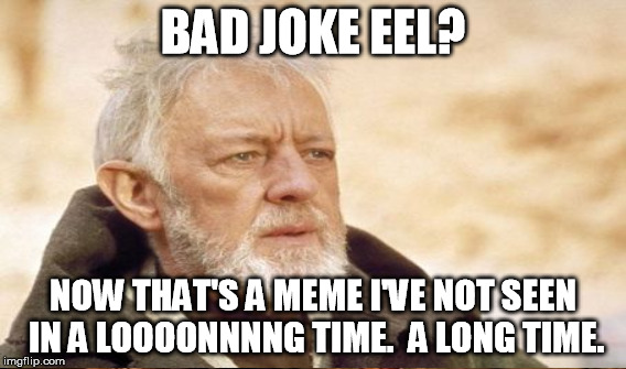 BAD JOKE EEL? NOW THAT'S A MEME I'VE NOT SEEN IN A LOOOONNNNG TIME.  A LONG TIME. | made w/ Imgflip meme maker