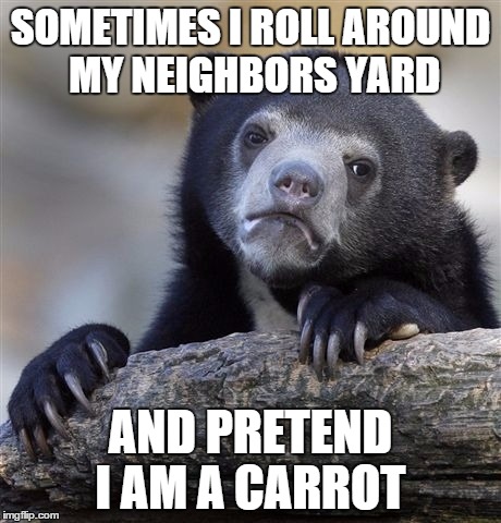Confession Bear | SOMETIMES I ROLL AROUND MY NEIGHBORS YARD; AND PRETEND I AM A CARROT | image tagged in memes,confession bear | made w/ Imgflip meme maker