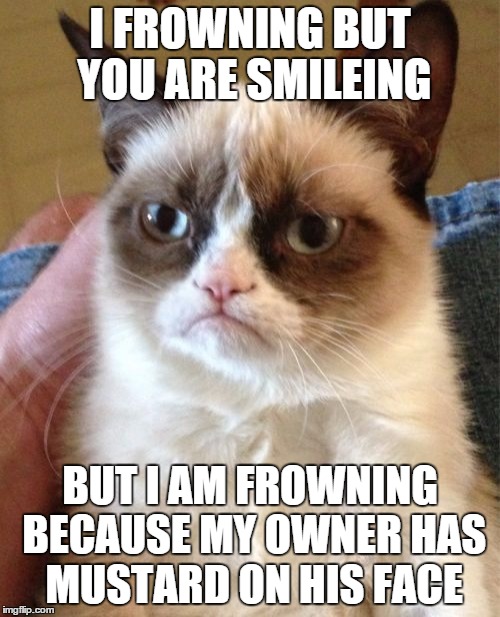 Grumpy Cat Meme | I FROWNING BUT YOU ARE SMILEING; BUT I AM FROWNING BECAUSE MY OWNER HAS MUSTARD ON HIS FACE | image tagged in memes,grumpy cat | made w/ Imgflip meme maker