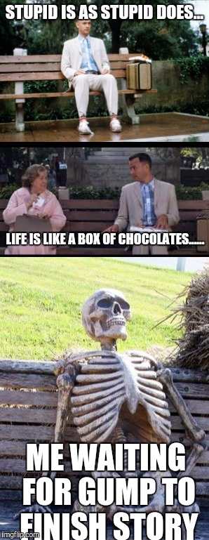 Lost In the Forrest Of Time | STUPID IS AS STUPID DOES... LIFE IS LIKE A BOX OF CHOCOLATES...... ME WAITING FOR GUMP TO FINISH STORY | image tagged in forrest gump,forrest gump box of chocolates,waiting skeleton,memes | made w/ Imgflip meme maker