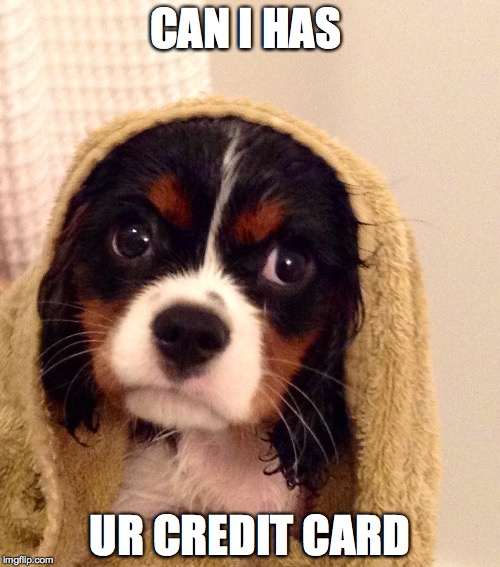 CAN I HAS; UR CREDIT CARD | made w/ Imgflip meme maker
