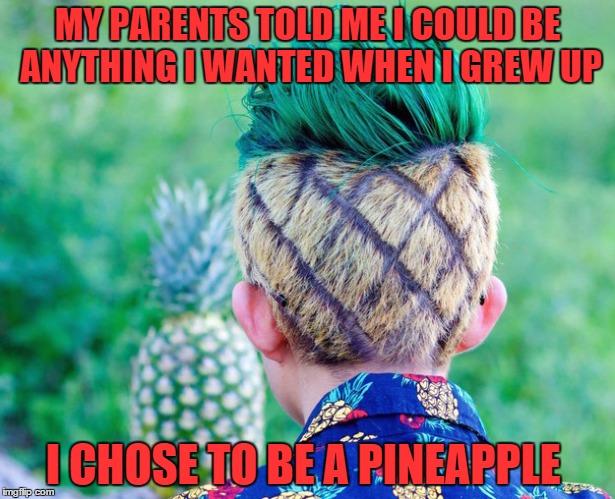 Who Lives In A Pineapple Under The Sea? | MY PARENTS TOLD ME I COULD BE ANYTHING I WANTED WHEN I GREW UP; I CHOSE TO BE A PINEAPPLE | image tagged in pineapple express,haircut,wowza | made w/ Imgflip meme maker
