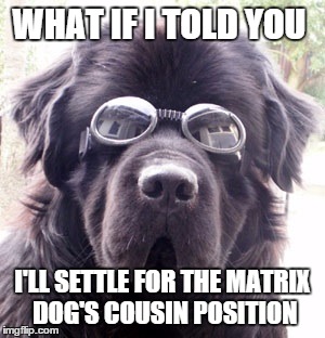 WHAT IF I TOLD YOU I'LL SETTLE FOR THE MATRIX DOG'S COUSIN POSITION | made w/ Imgflip meme maker