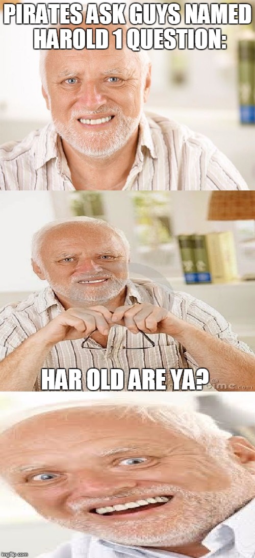 Horrible Pun Harold | PIRATES ASK GUYS NAMED HAROLD 1 QUESTION:; HAR OLD ARE YA? | image tagged in horrible pun harold,hide the pain harold,question,pirate,old,memes | made w/ Imgflip meme maker