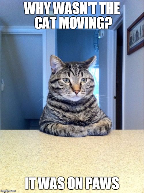 Take A Seat Cat Meme | WHY WASN'T THE CAT MOVING? IT WAS ON PAWS | image tagged in memes,take a seat cat | made w/ Imgflip meme maker