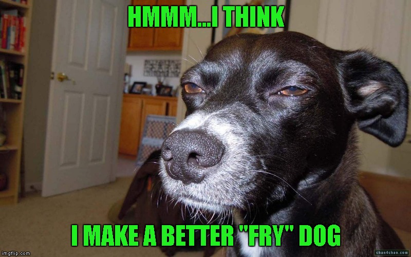 HMMM...I THINK I MAKE A BETTER "FRY" DOG | made w/ Imgflip meme maker