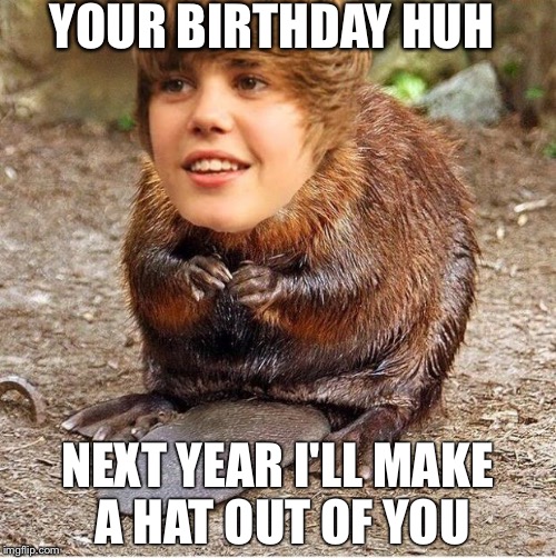 justin beaver | YOUR BIRTHDAY HUH; NEXT YEAR I'LL MAKE A HAT OUT OF YOU | image tagged in justin beaver | made w/ Imgflip meme maker